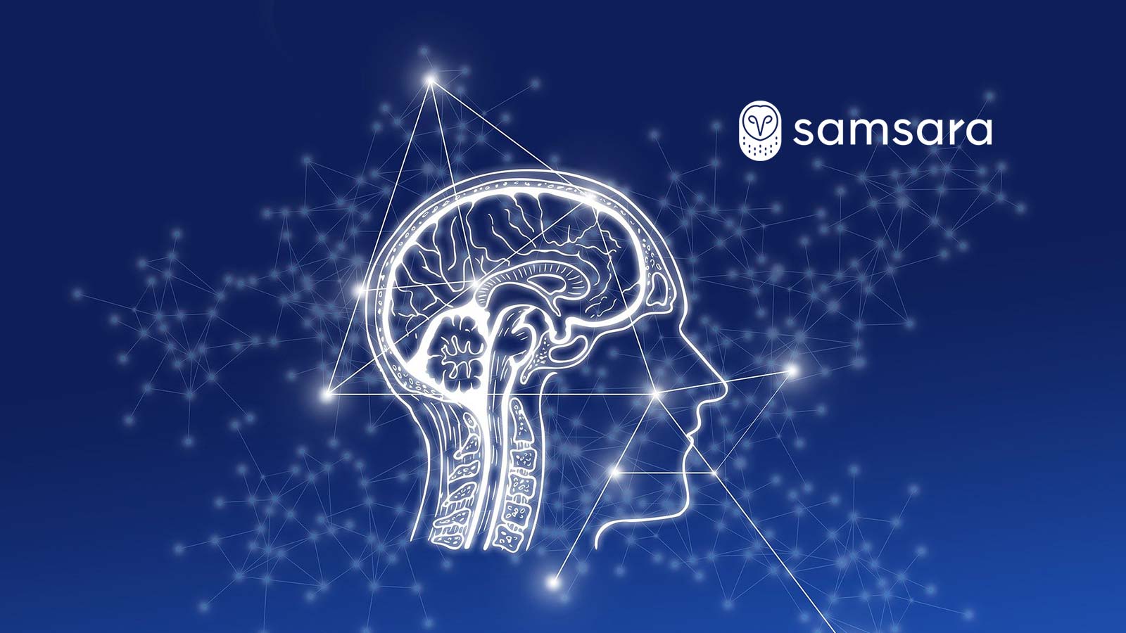 Former ServiceNow Executive, Philip van der Wilt, Joins Samsara to Lead European Operations