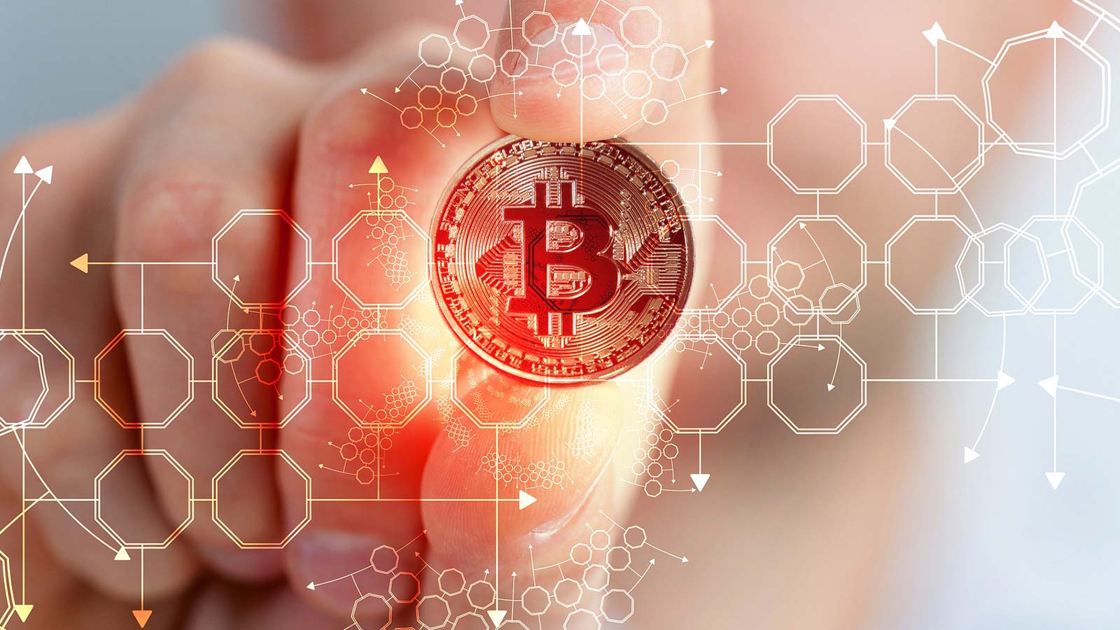 Wine Craft Releases First Cryptocurrency Blockchain for Wine