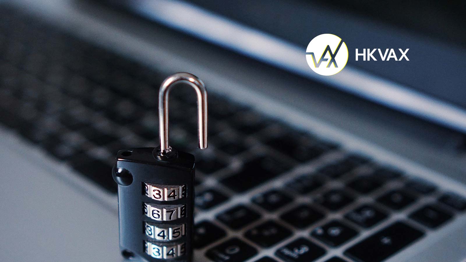 HKVAX Allies With TerraChain to Bring Security Tokens to Hong Kong