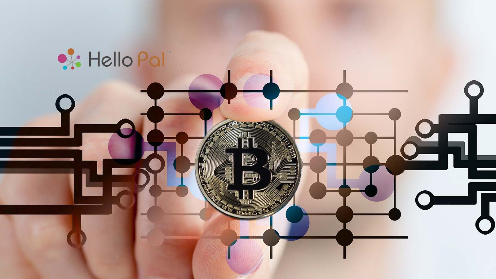 Hello Pal Acquires Dogecoin Miner Crypto Pal
