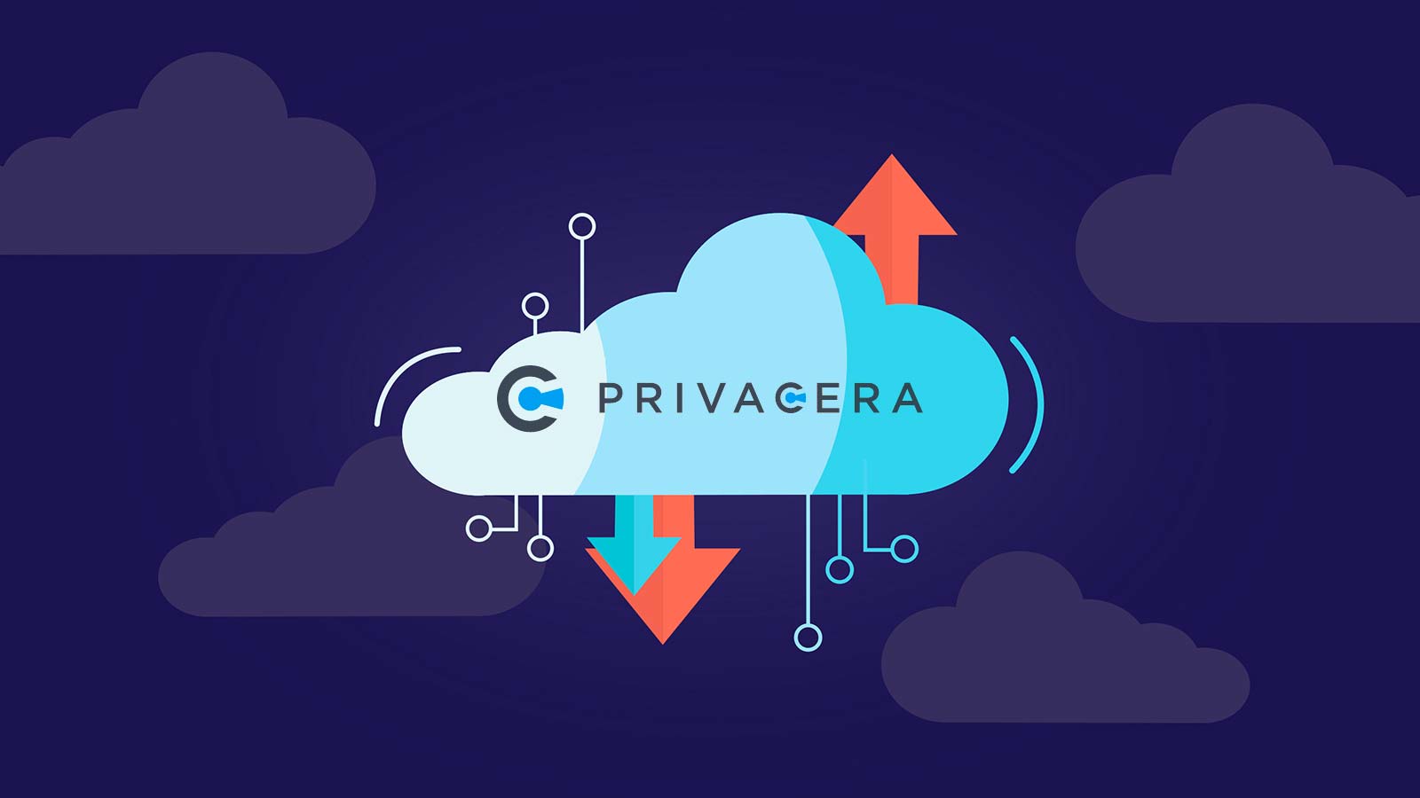 New Survey Reveals Organizations' Conflicted Between Data Privacy and Data Science as They Embrace Multiple Cloud Providers