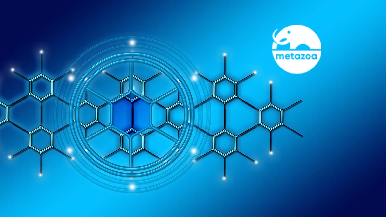 Metazoa Adds Impact Analysis Reporting To Its Salesforce Org Management Platform Snapshot