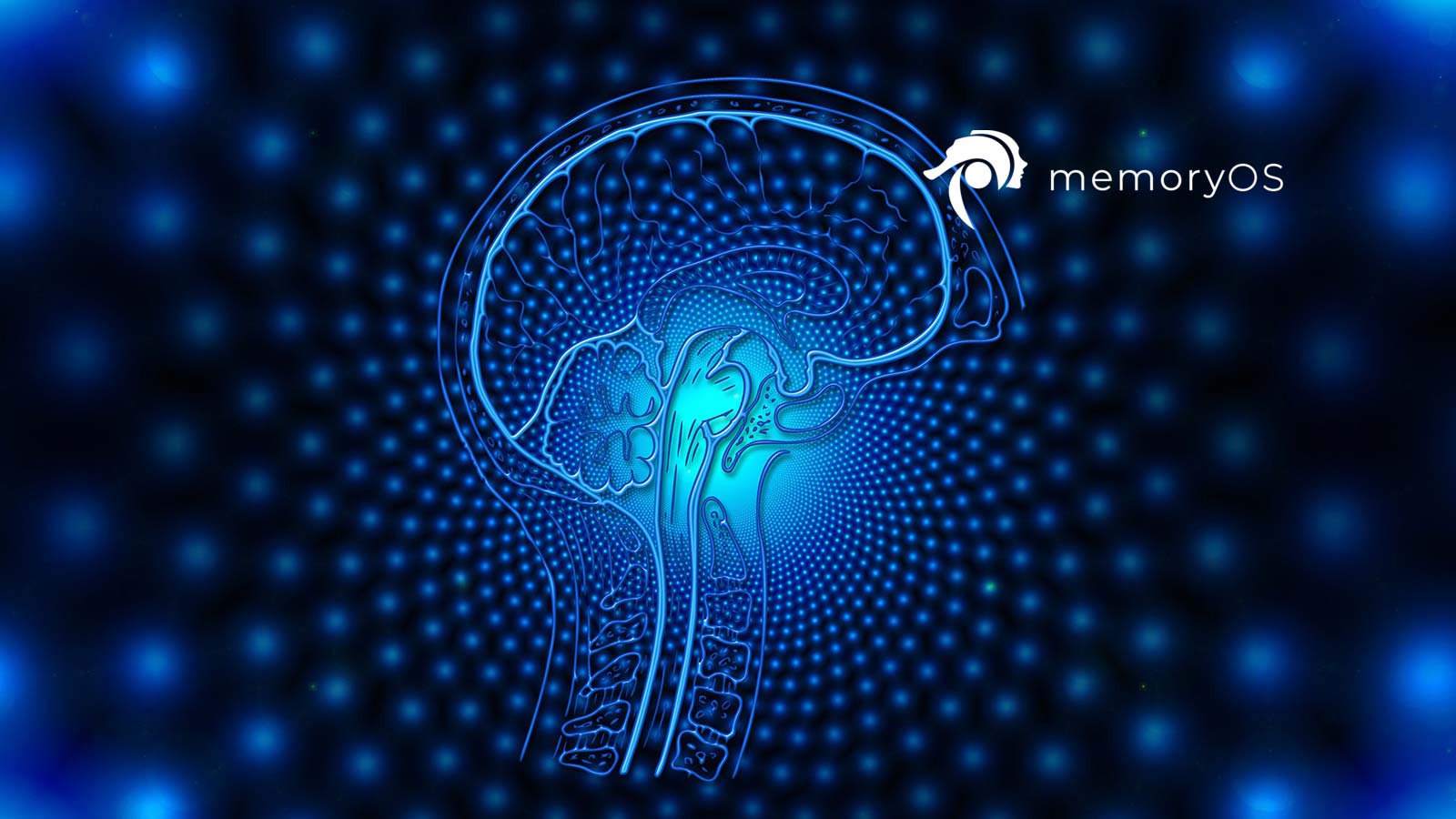 Ed-tech Startup memoryOS Raised $350,000 On Kickstarter Within The First Week To Help People “Sherlock” Their Memory