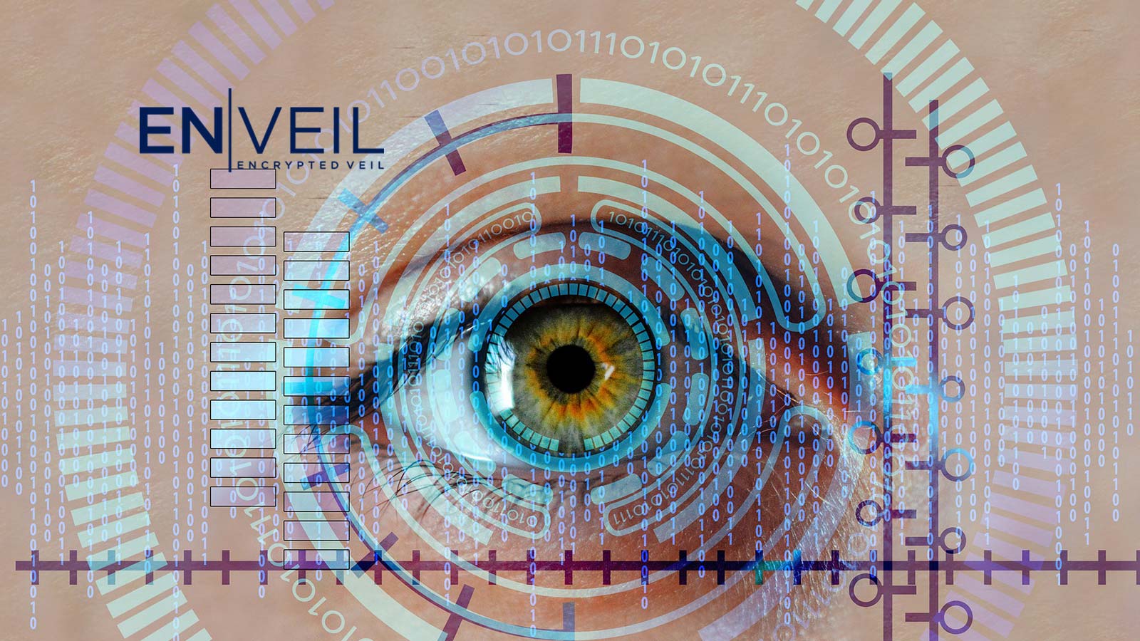Enveil And Sayari Partnership Unlocks Secure And Private Data Access