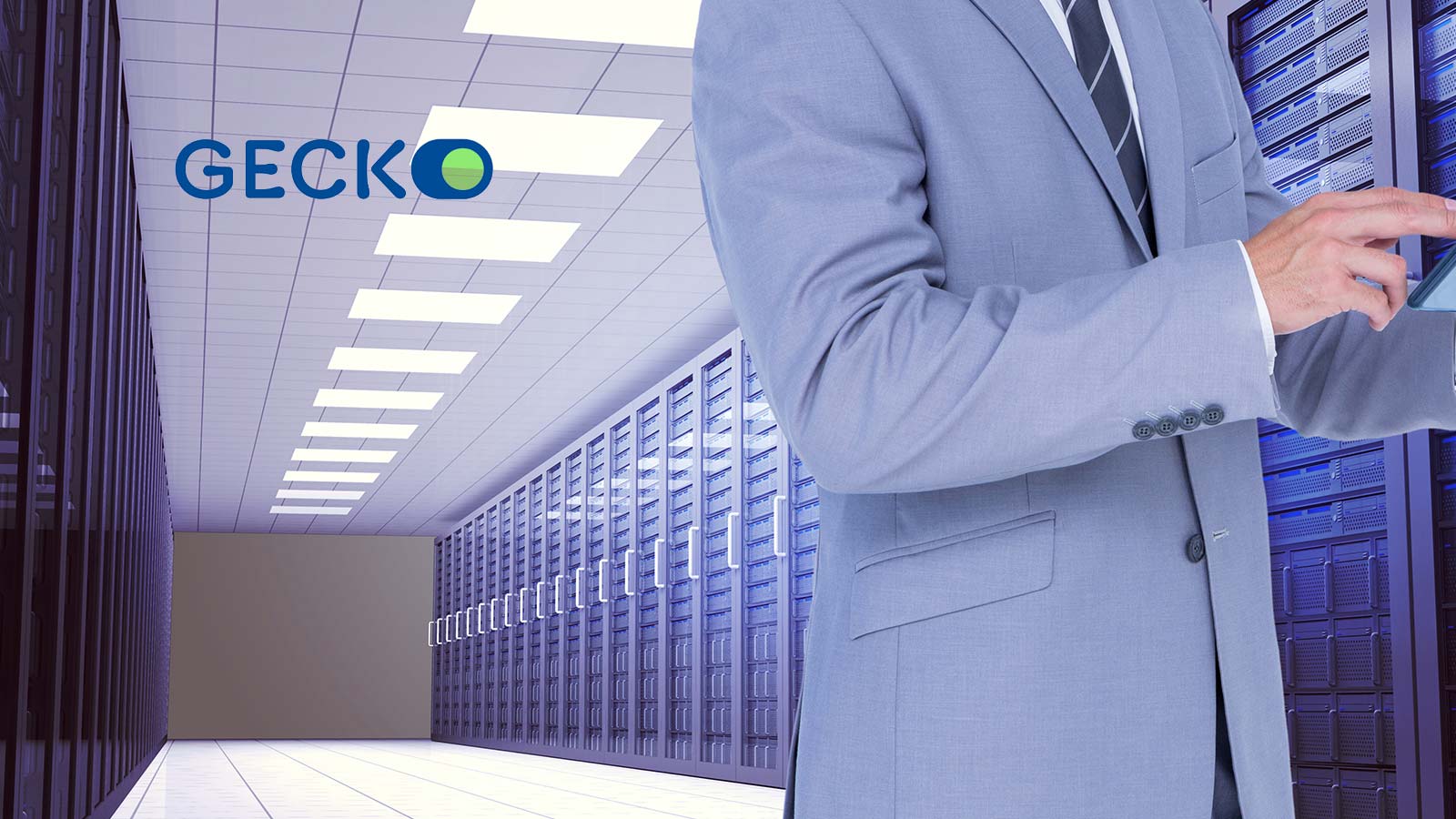 Gecko appoints high profile chair as education technology specialist plots North America expansion