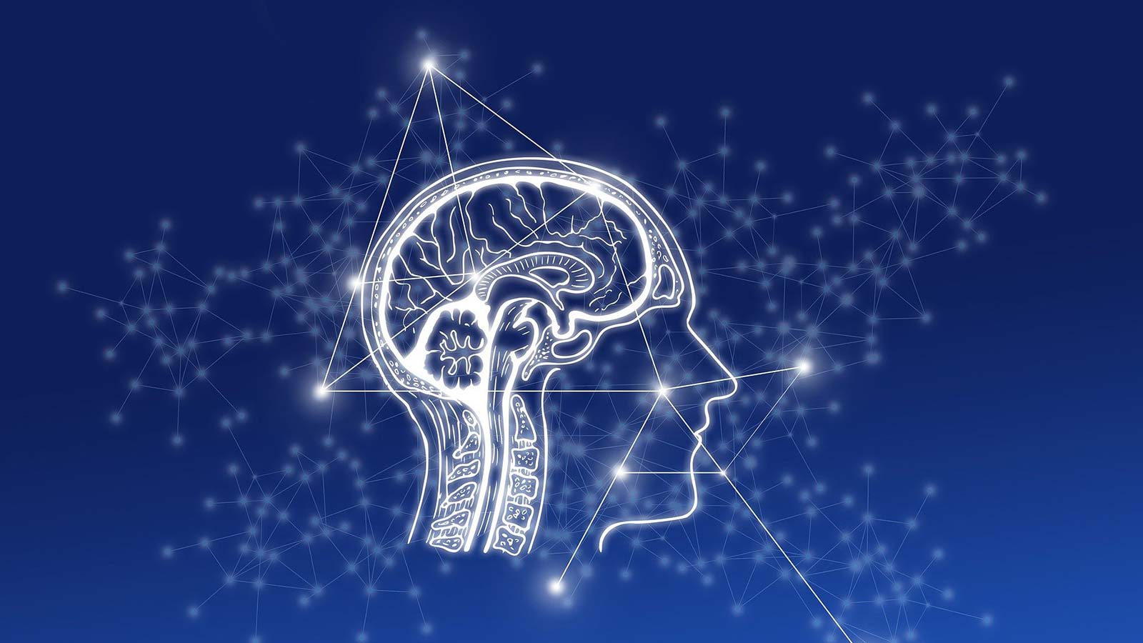 Toyota Research Institute Reaches New Technical Milestones In Robotics