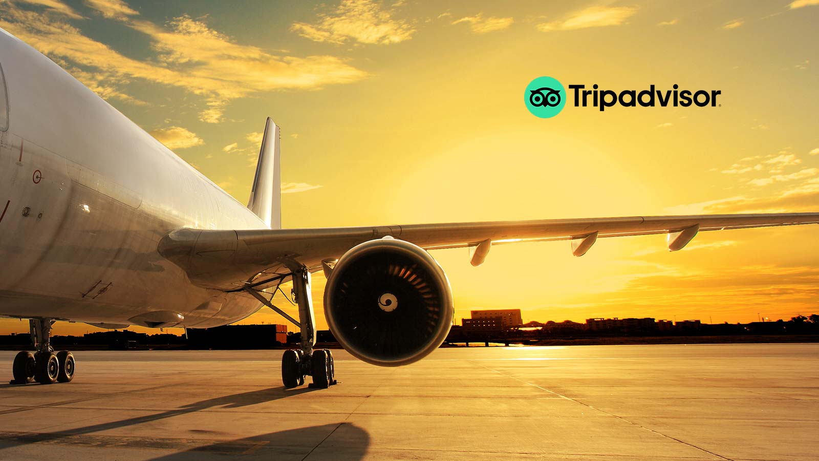 Tripadvisor Unveils New App As Summer Travel Rebounds