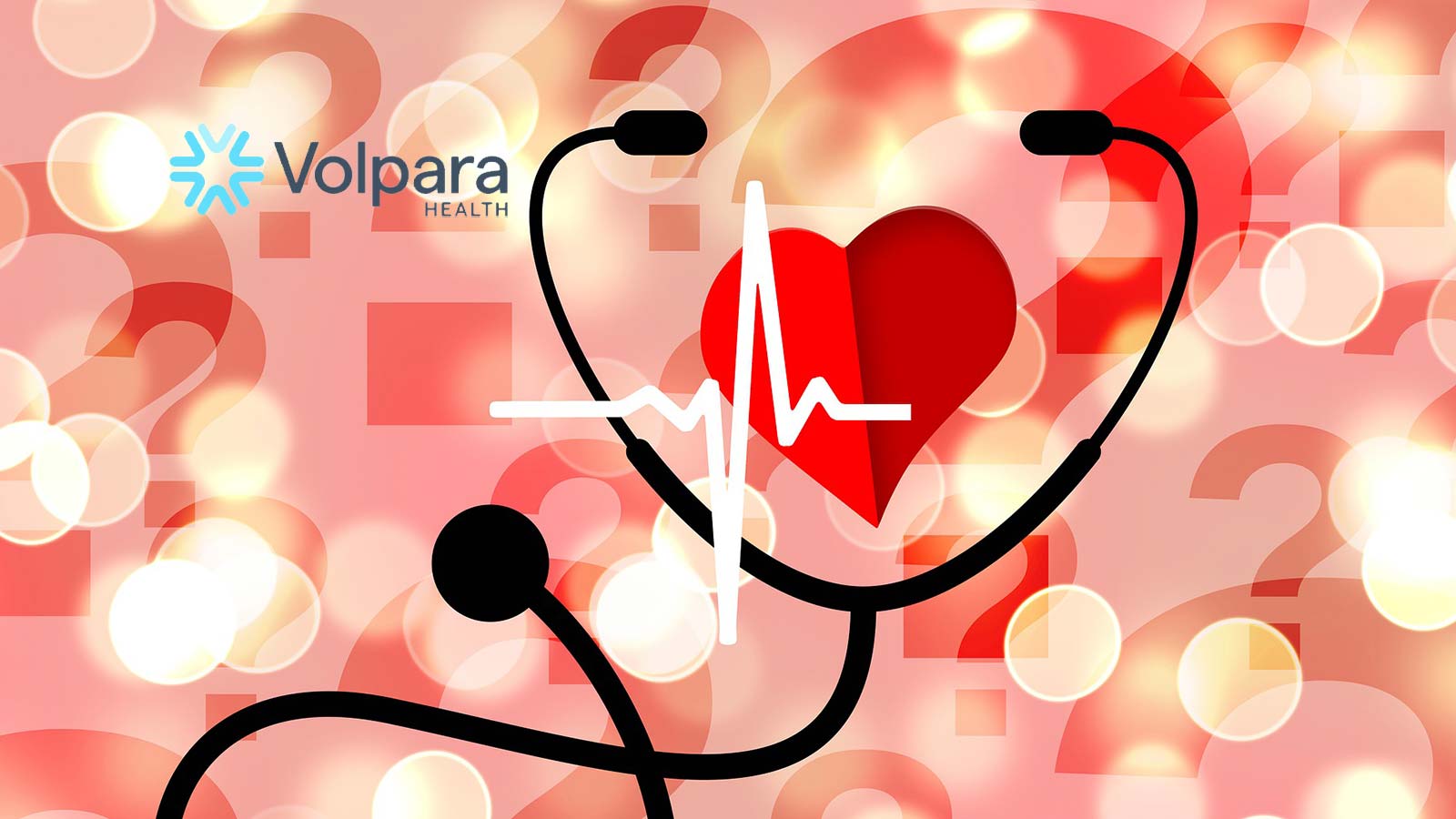 Volpara Health Announces Jill Spear As New Executive Vice President Of Sales & Marketing