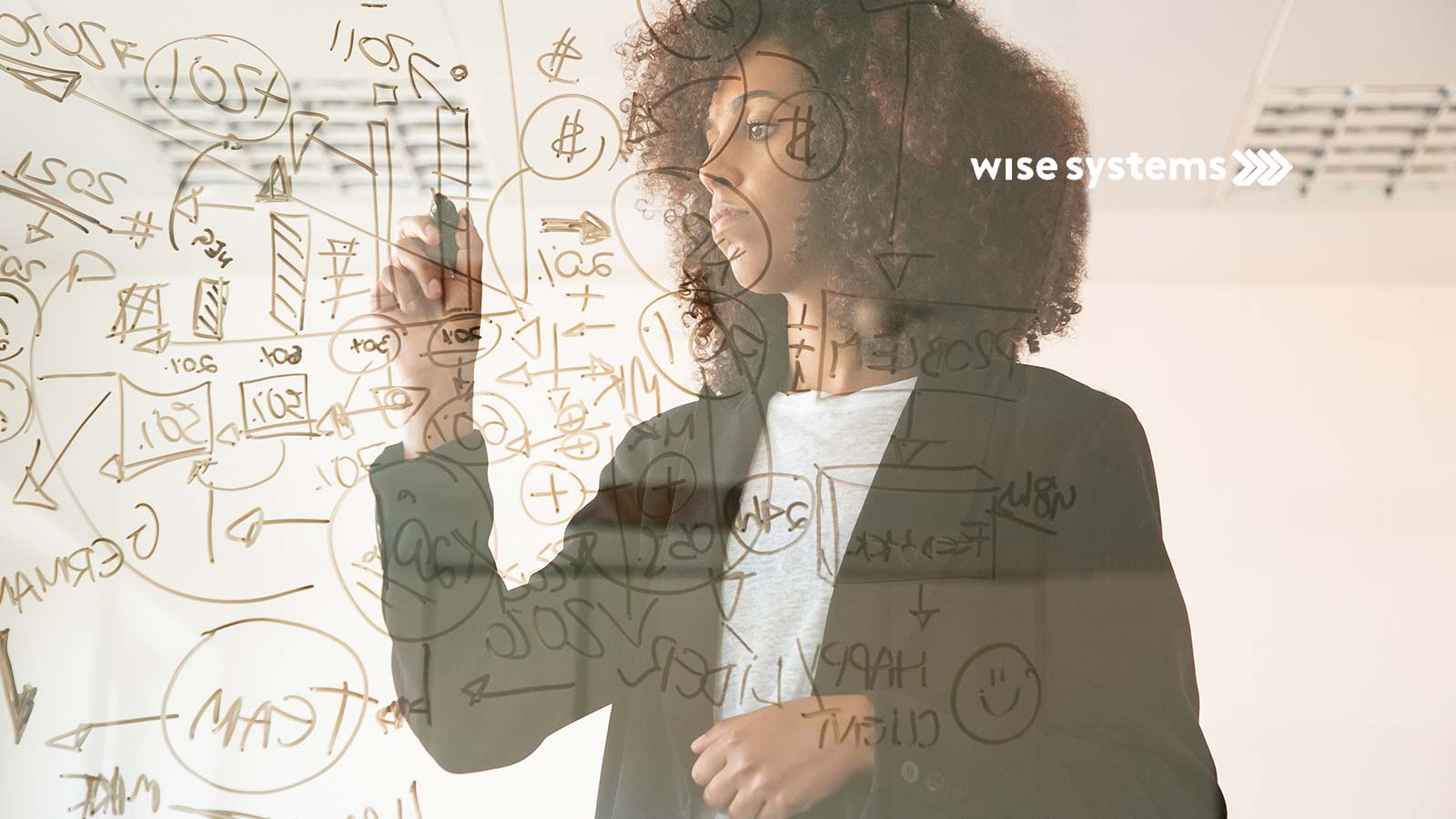 Wise Systems Adds Barcode Scanning to Driver App