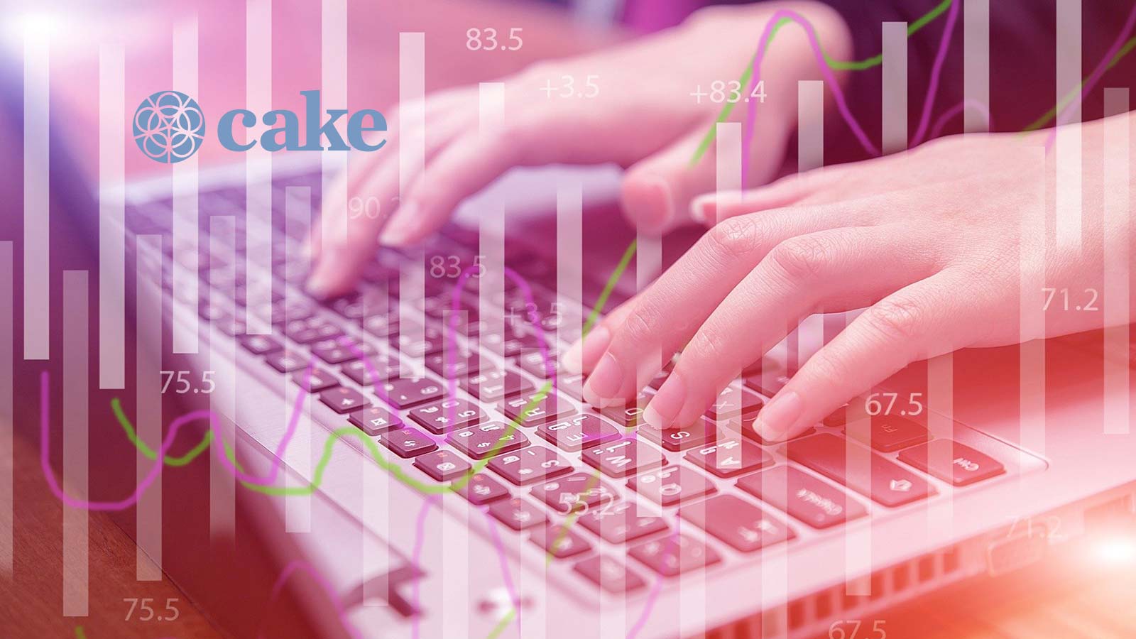 Cake Raises $3.7M to Expand End-of-Life Planning Offerings Amidst Growing Demand
