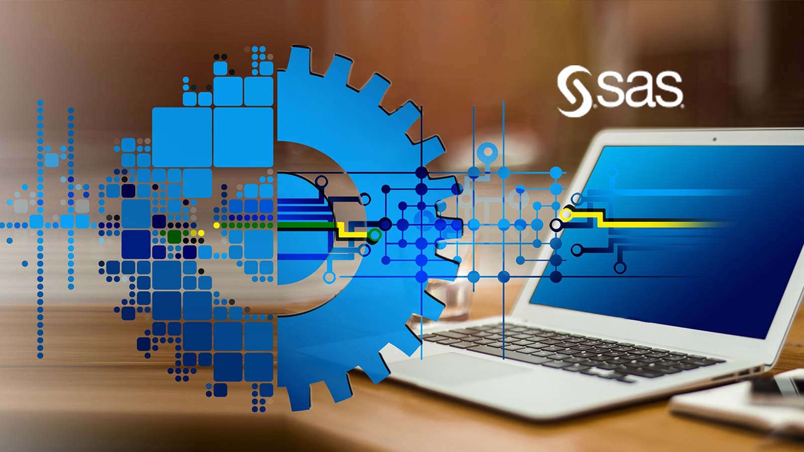 SAS Charts Path To IPO-Readiness