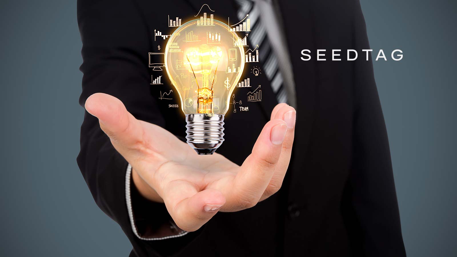 Seedtag Raises Over €250 Million from Advent International