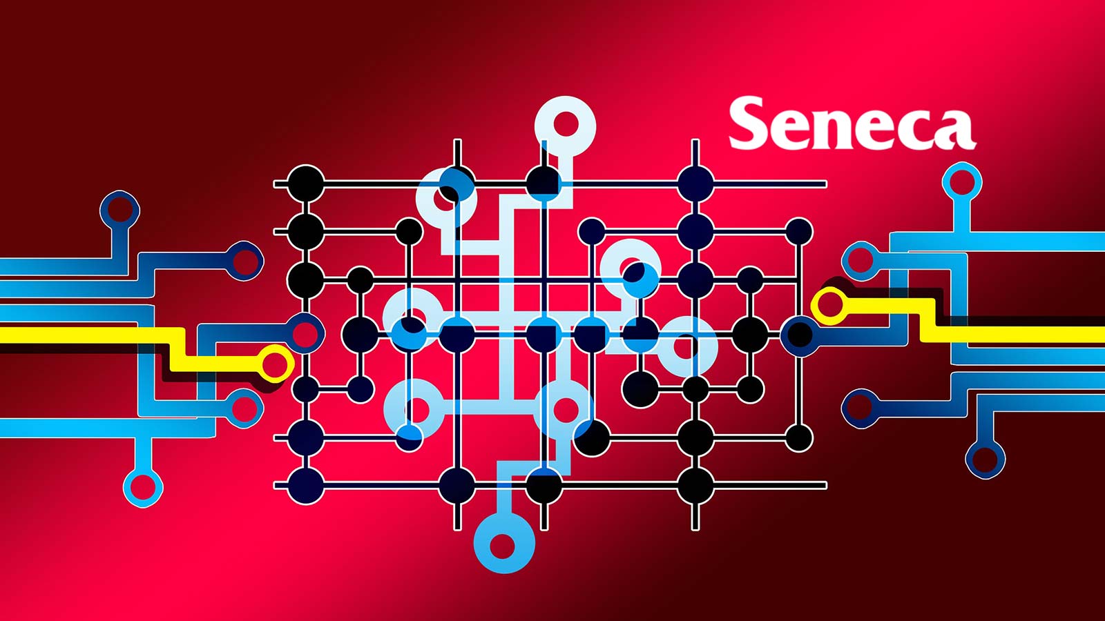 Seneca launches software engineering bachelor’s degree