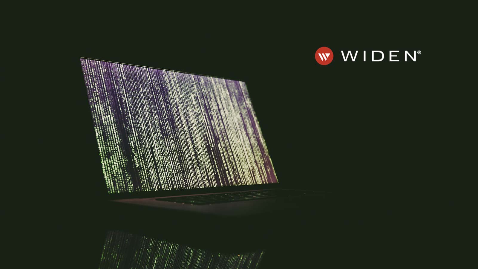 Widen Rolls Out Connector For Adobe And Microsoft Applications