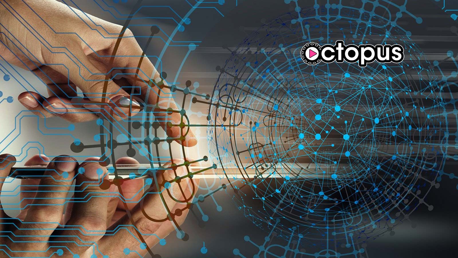Octopus Network Secures $5 Million Series A Funding Round