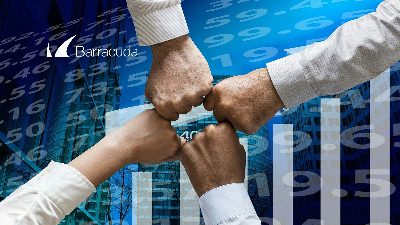 Hatem Naguib Takes On New Role At Barracuda As Chief Executive Officer