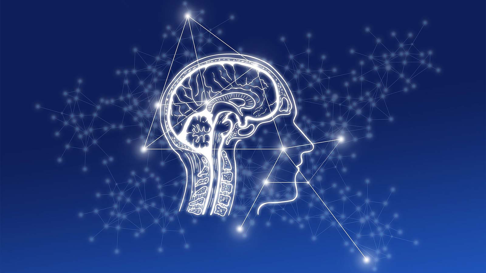 Pocketalk Becomes First HIPAA-Compliant Handheld Translation Device