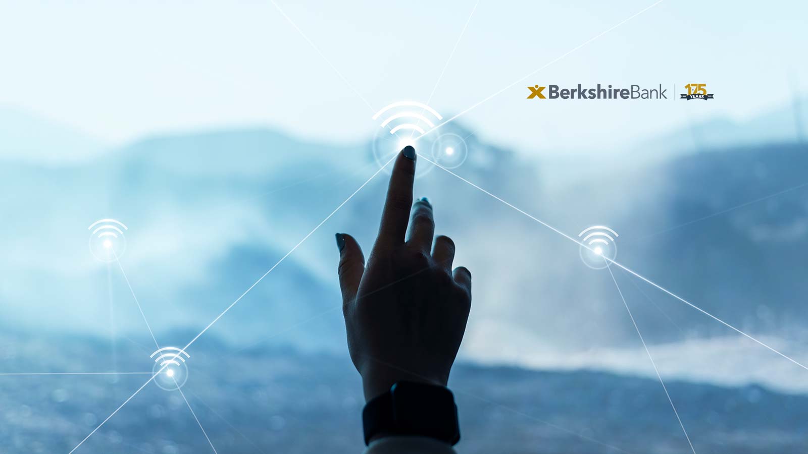 Berkshire Hills Bancorp Announces Lucia "Lucy" Bellomia Hired As Executive Vice President, Head of Retail Banking