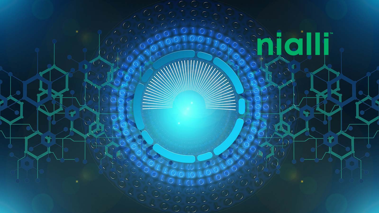 New Functionality in Nialli Visual Planner Enables Greater Collaboration and Flexibility