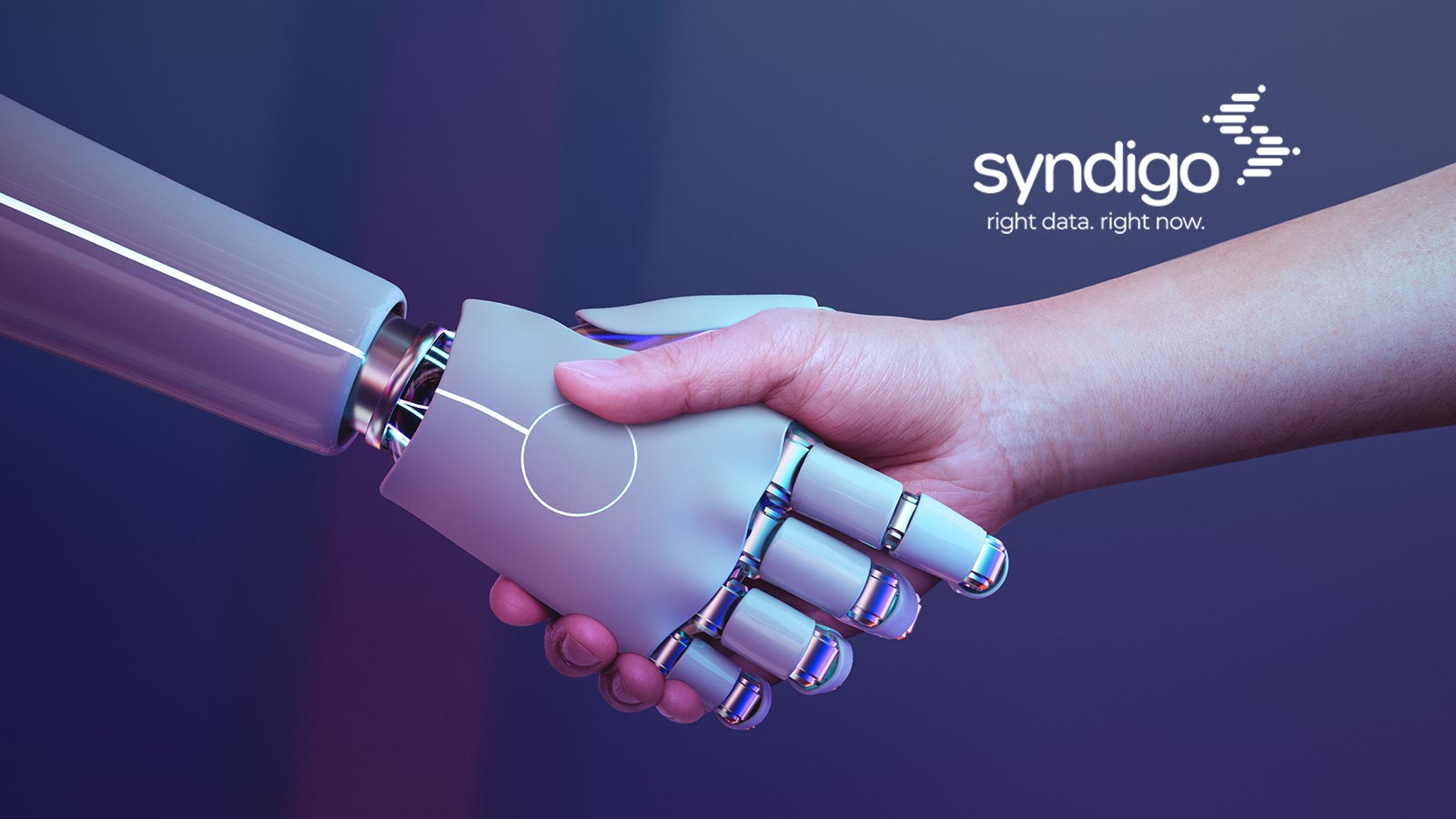 Codifyd and Riversand, a Syndigo Company Announce Strategic Partnership to Offer Cloud-native MDM and PIM