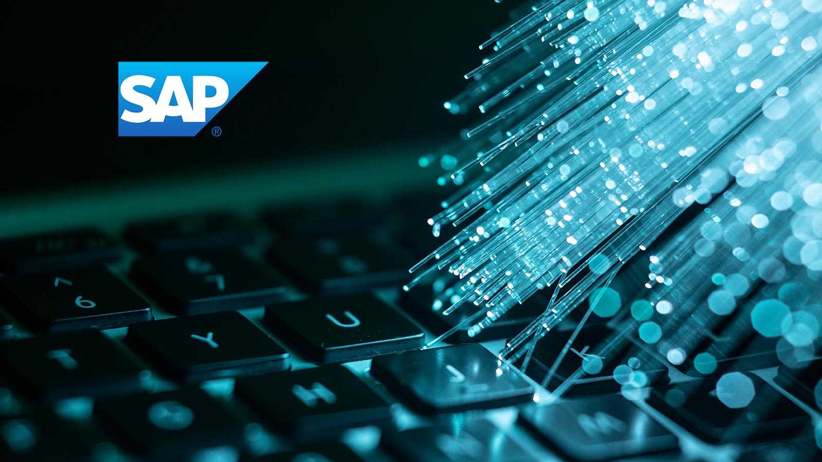 SAP Cloud Momentum Accelerates Significantly