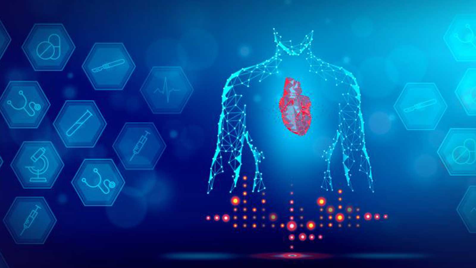 Active Health Foods (CoinChamp) Announces Agreement with Top Software Firm Toward the Development of Plug-and-Play NFT Platform