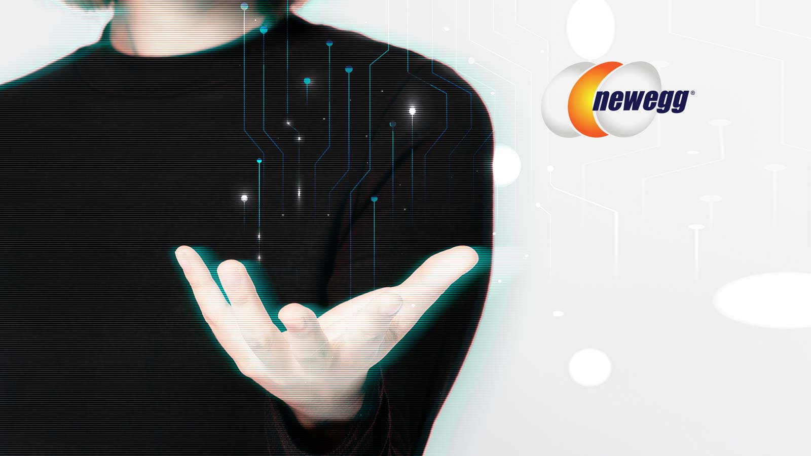 Newegg to Accept Shiba Inu (SHIB) Cryptocurrency as a Form of Payment on Newegg.com in Time for the Holidays