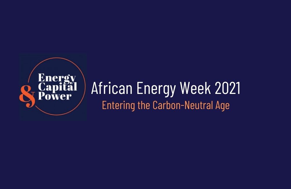 The Role of the Congolese Hydrocarbons Sector in the Carbon-Neutral Age