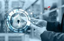 Pineapple Express Cannabis Company, Launches Synaps9.com