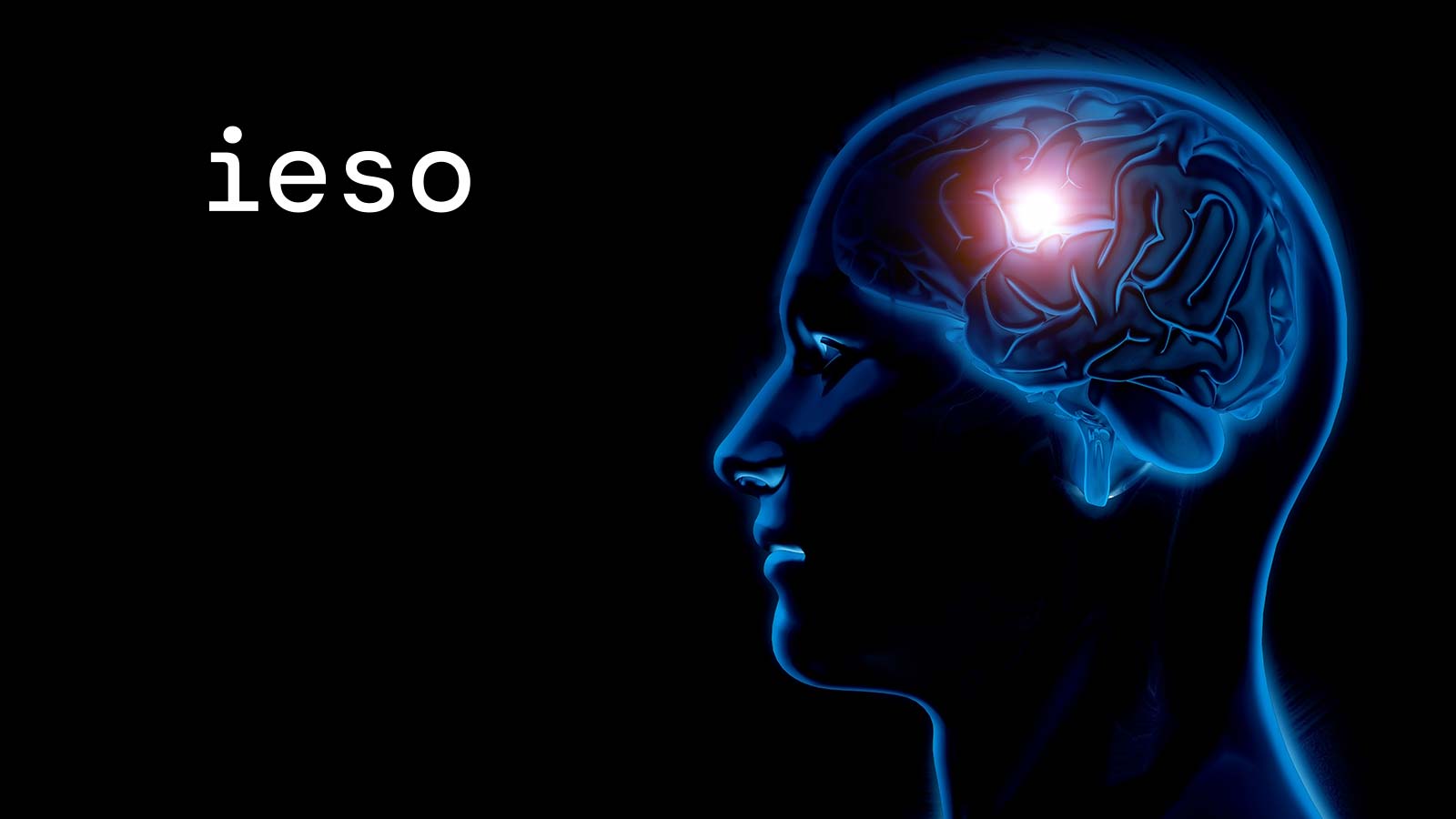 ieso Raises $53m to Address Global Mental Health Crisis With Digital Therapeutics