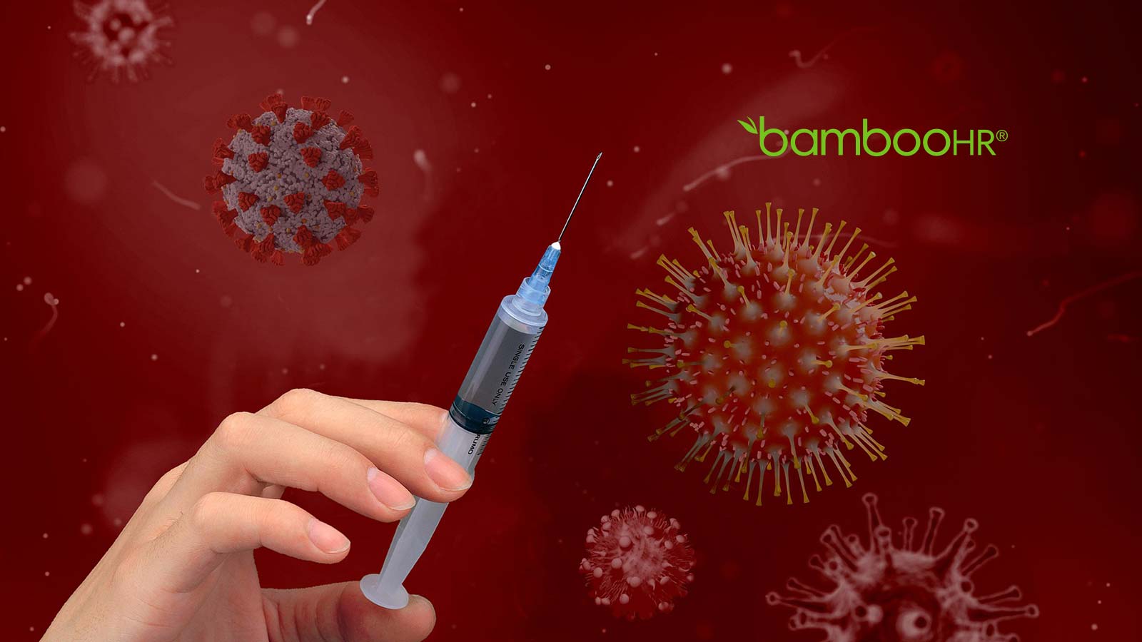 BambooHR Launches COVID-19 Vaccination Tracking Feature