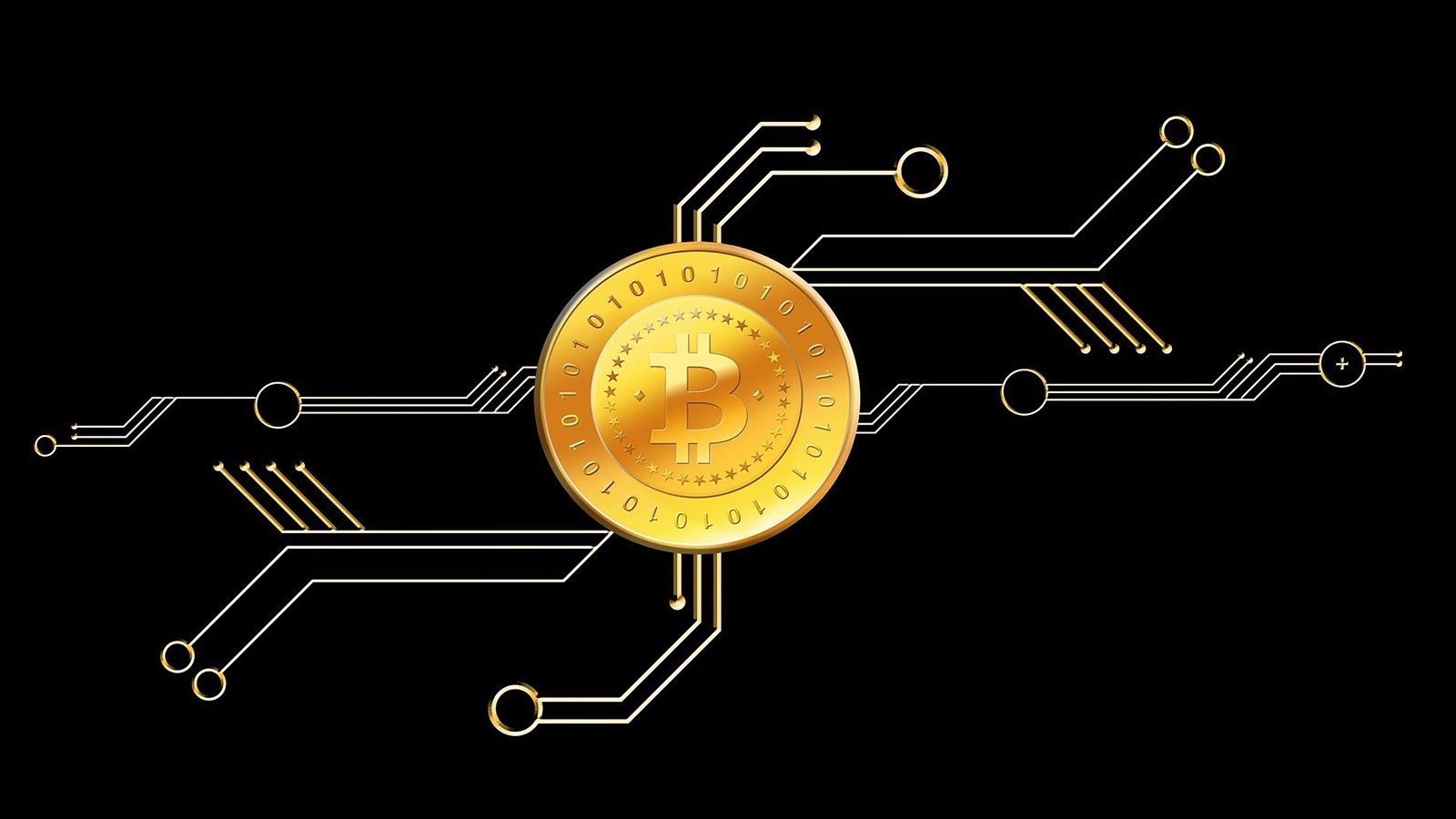 Cryppo: The NFT Collections To Play In The Metaverse And Earn Tokens