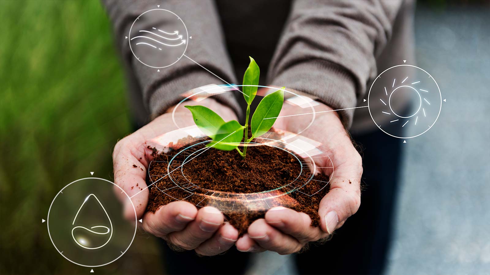Flipkart & Walmart Announce a Fresh Round of Investment in Ninjacart to Organize the Agri Ecosystem & Create Economic Opportunities for Farmers in India