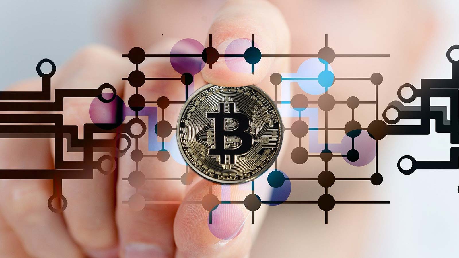 NFT Glee Sells Out Bitcoin Bob NFT; Bitcoin Trading Algorithm Inside An NFT Now Has Waiting List And Robust Secondary Market