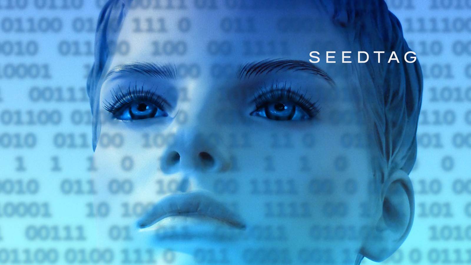 Seedtag Contextual AI Can Be Used With Xandr Curate To Give Brands A Global Scaleable Cookieless Solution