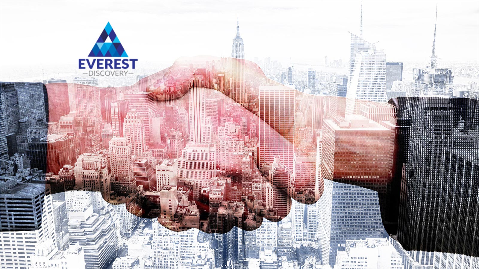 Everest Discovery and Zaviant Consulting Announce Strategic Partnership