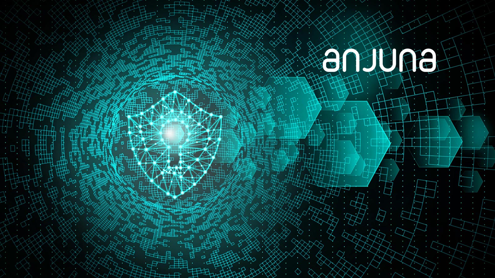 Anjuna Security Software to Lockdown Sensitive Data in Public Clouds
