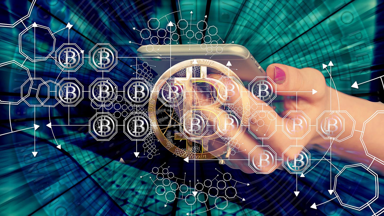 The Wild Animal Sanctuary Receives Crypto Currency Donation From Alpaca Finance To Help Rescued Animals