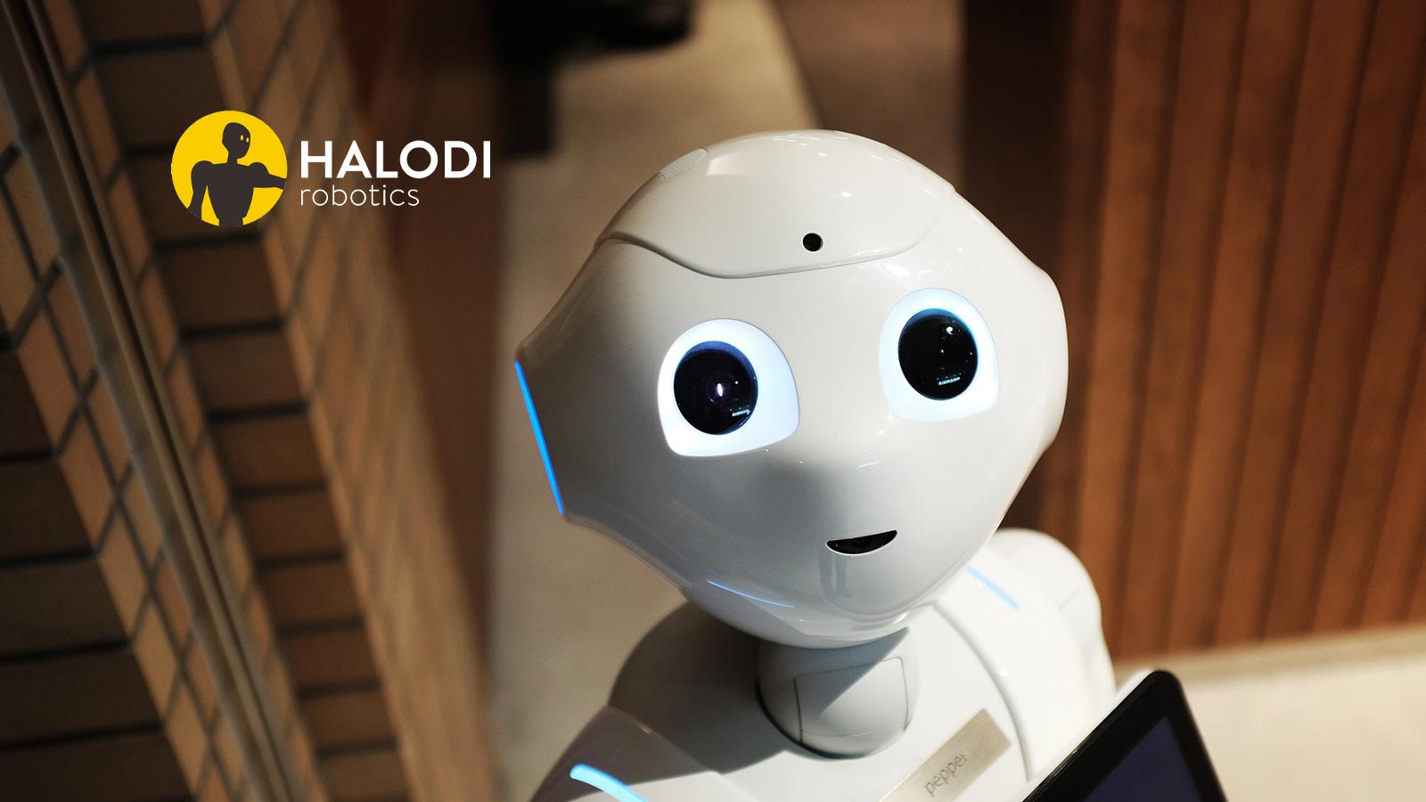 Halodi Robotics Inks Contract with ADT Commercial for Delivery of 140 Humanoid Robots