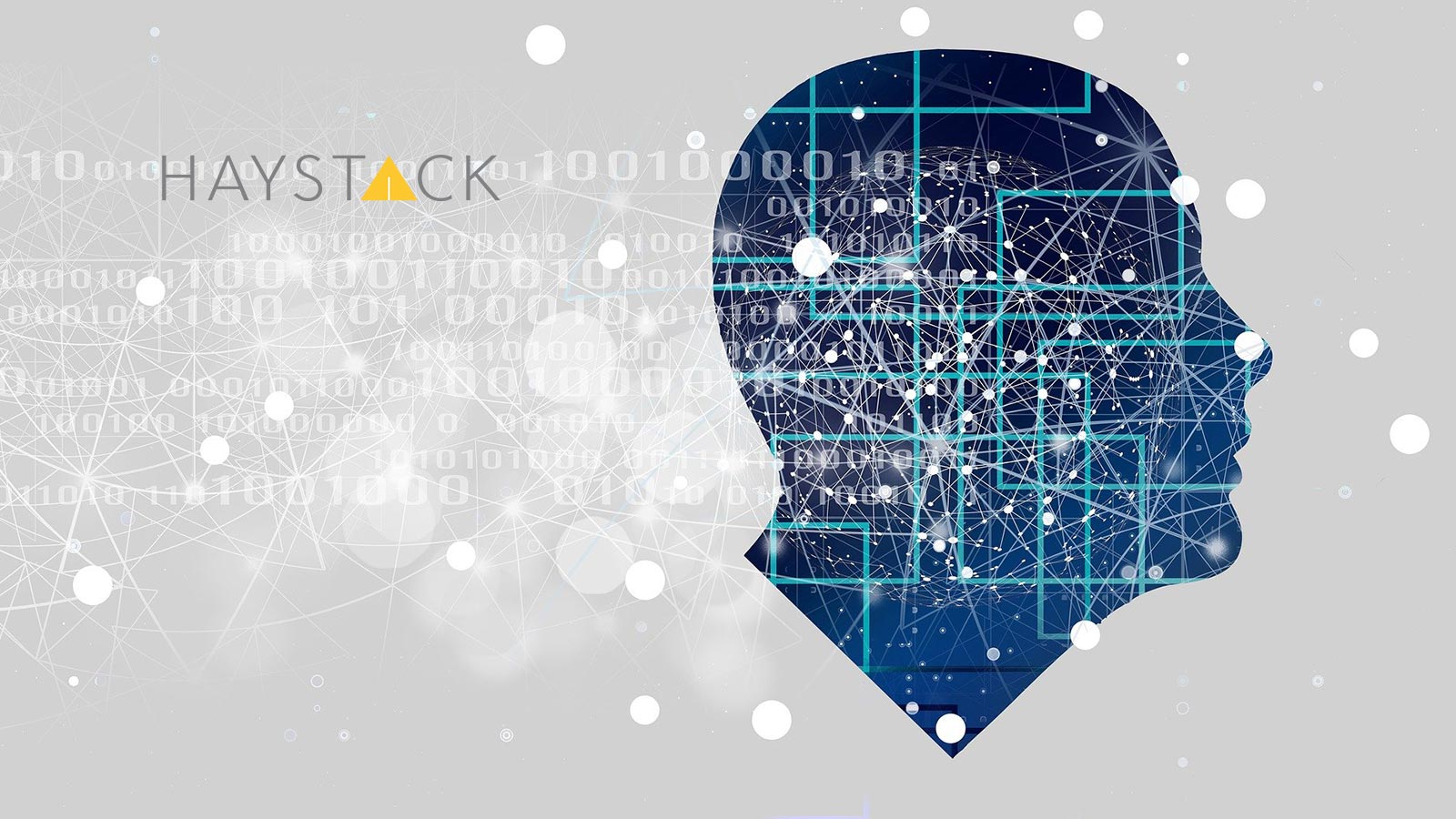 HaystackID Expands Artificial Intelligence Capabilities with Reveal