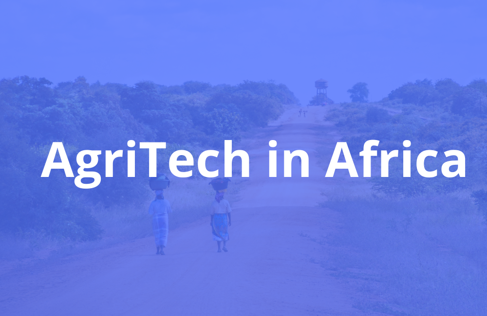 UN Report Pinpoints Massive Opportunities in African Agriculture’s Digital Revolution