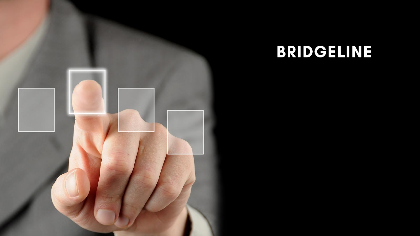Landscaping Supplier Selects Bridgeline for Cutting Hedge Technology