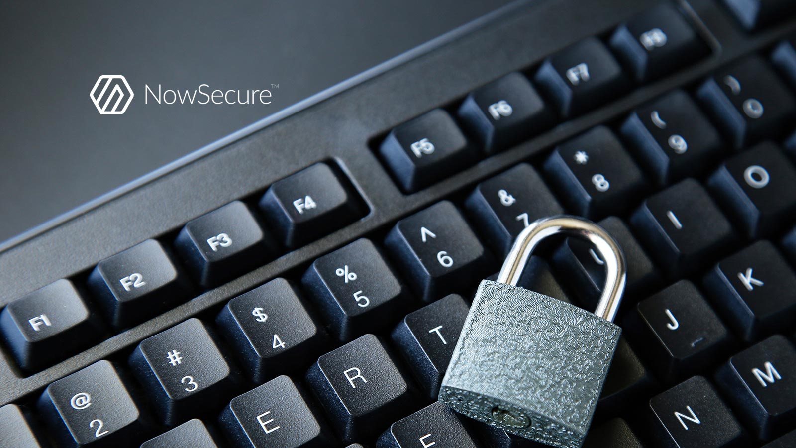 NowSecure Announces New Pen Testing Service and Software for OWASP MASVS Compliance