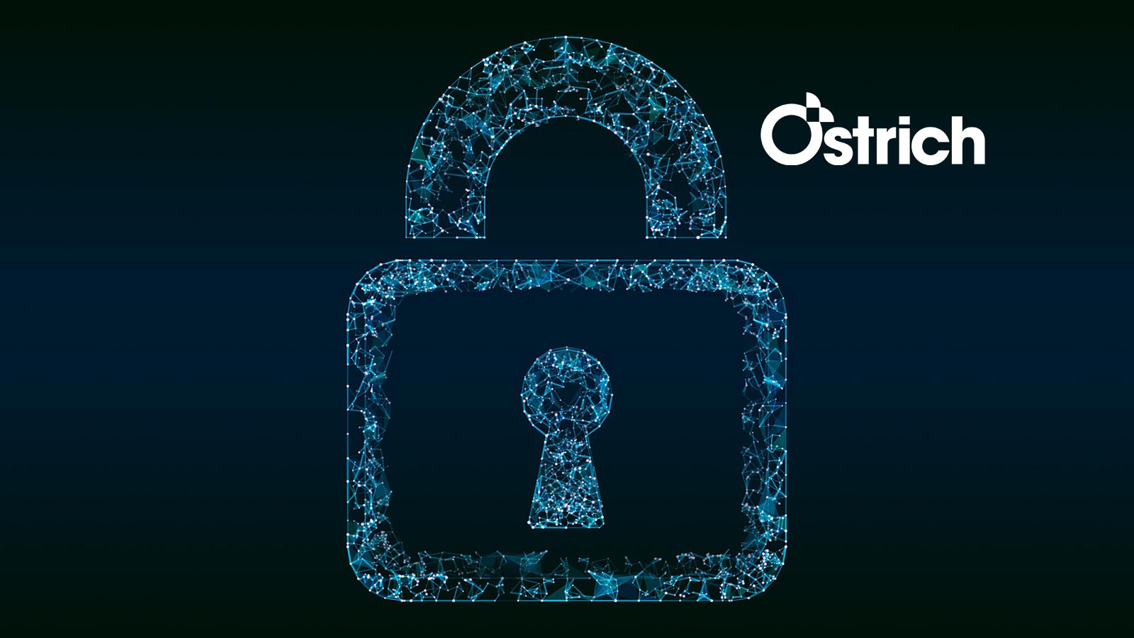 Ostrich Cyber-Risk Announces the Release of Birdseye, a Cyber Risk Management Application