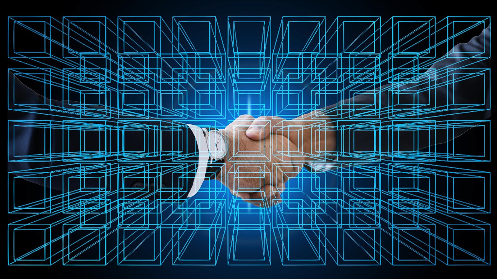 Peter Rex Partners with the Texas Blockchain Council