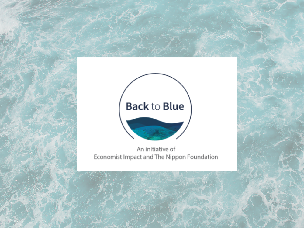 Back to Blue Report: Climate Change and Marine Chemical Pollution Are Deeply Connected