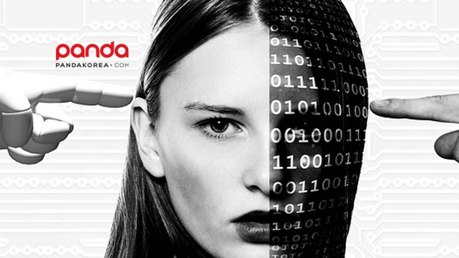 Panda-Korea-dot-com-Attracts-About-USD-4.85-Million-Investment