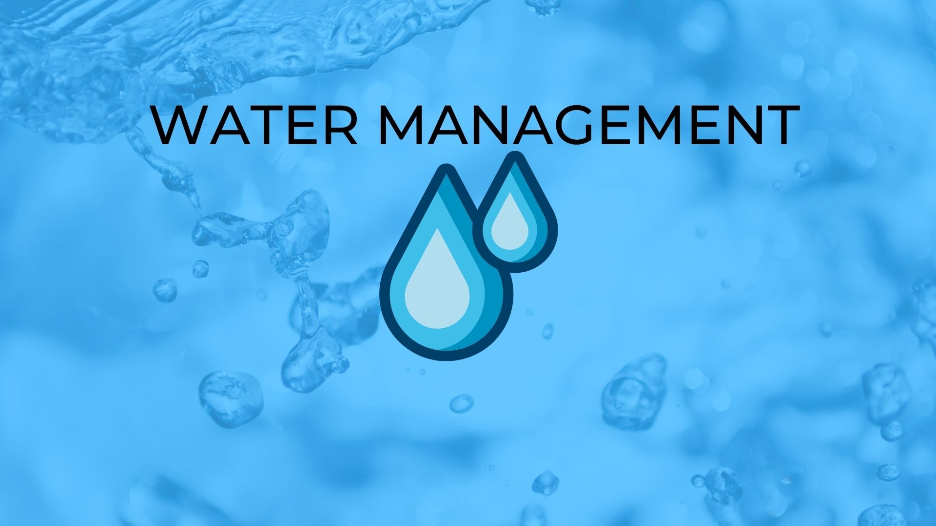 Digital Twins: Bringing the Future to Water Management