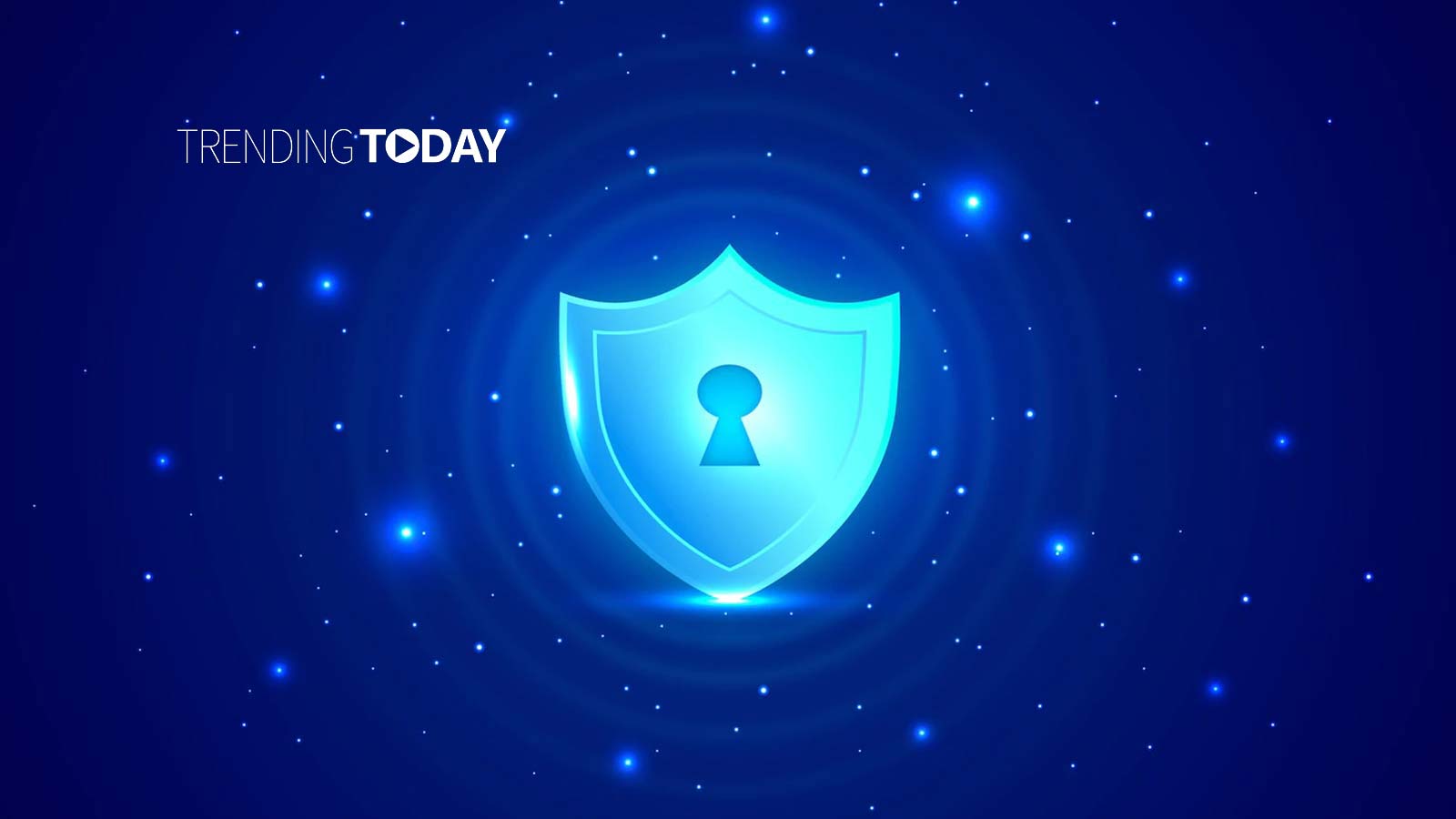 The Security Oracle, Experts in the Security and Artificial Intelligence Space