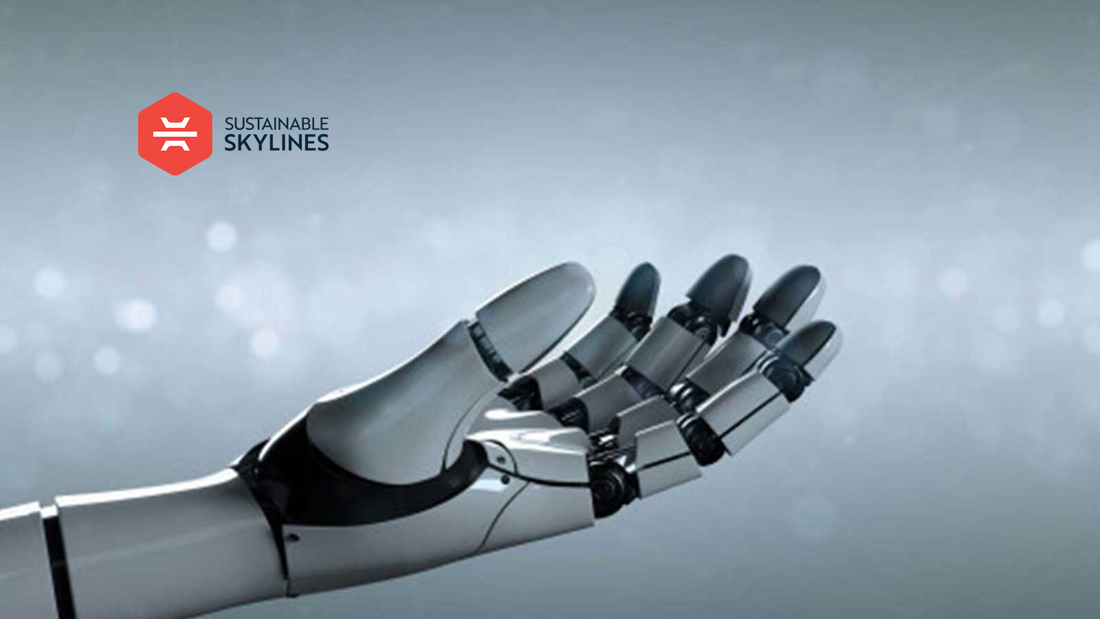 Advertising Technology Startup, Sustainable Skylines, Emerges from Stealth Mode, Announces Partnership with Aviation Technology Company, VELARY